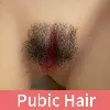 Pubic-Hair