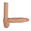 Transsexual Penis (22Cm)