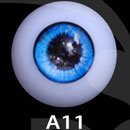 A11