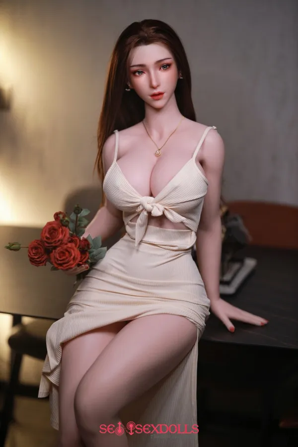 haven sex with robot sex doll